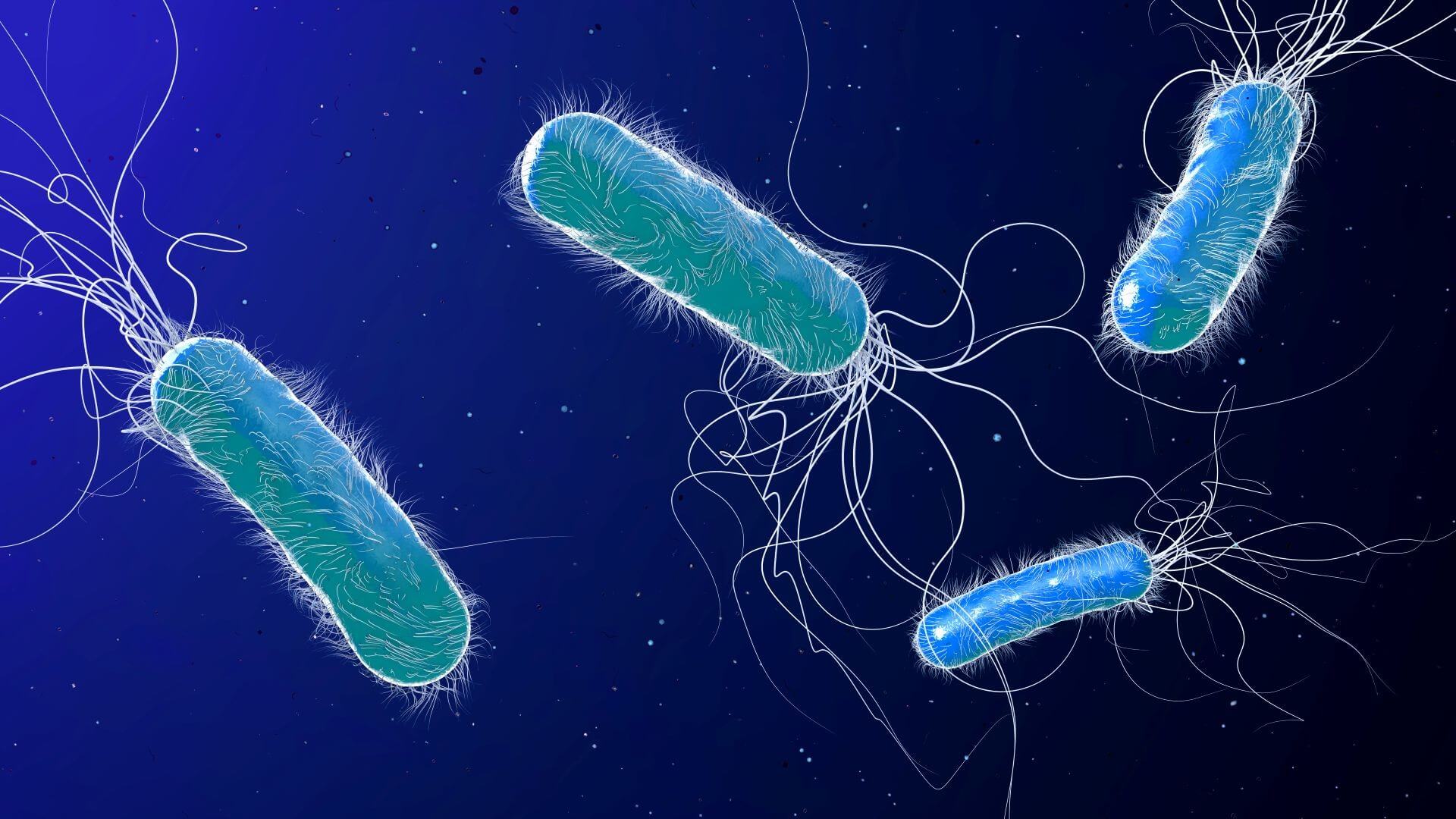 3D illustration of bacterium