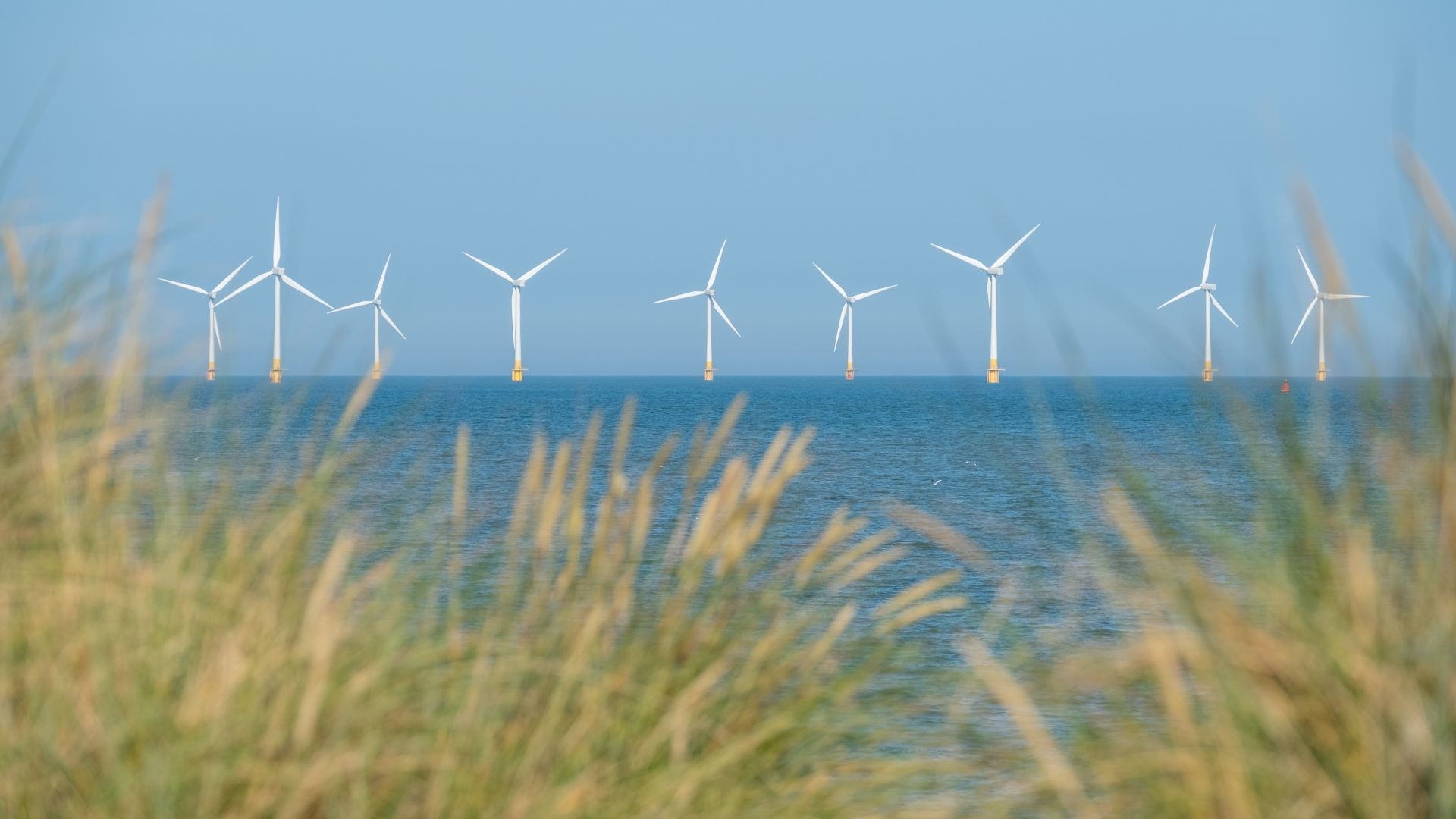 View of offshore wind farm from coastline