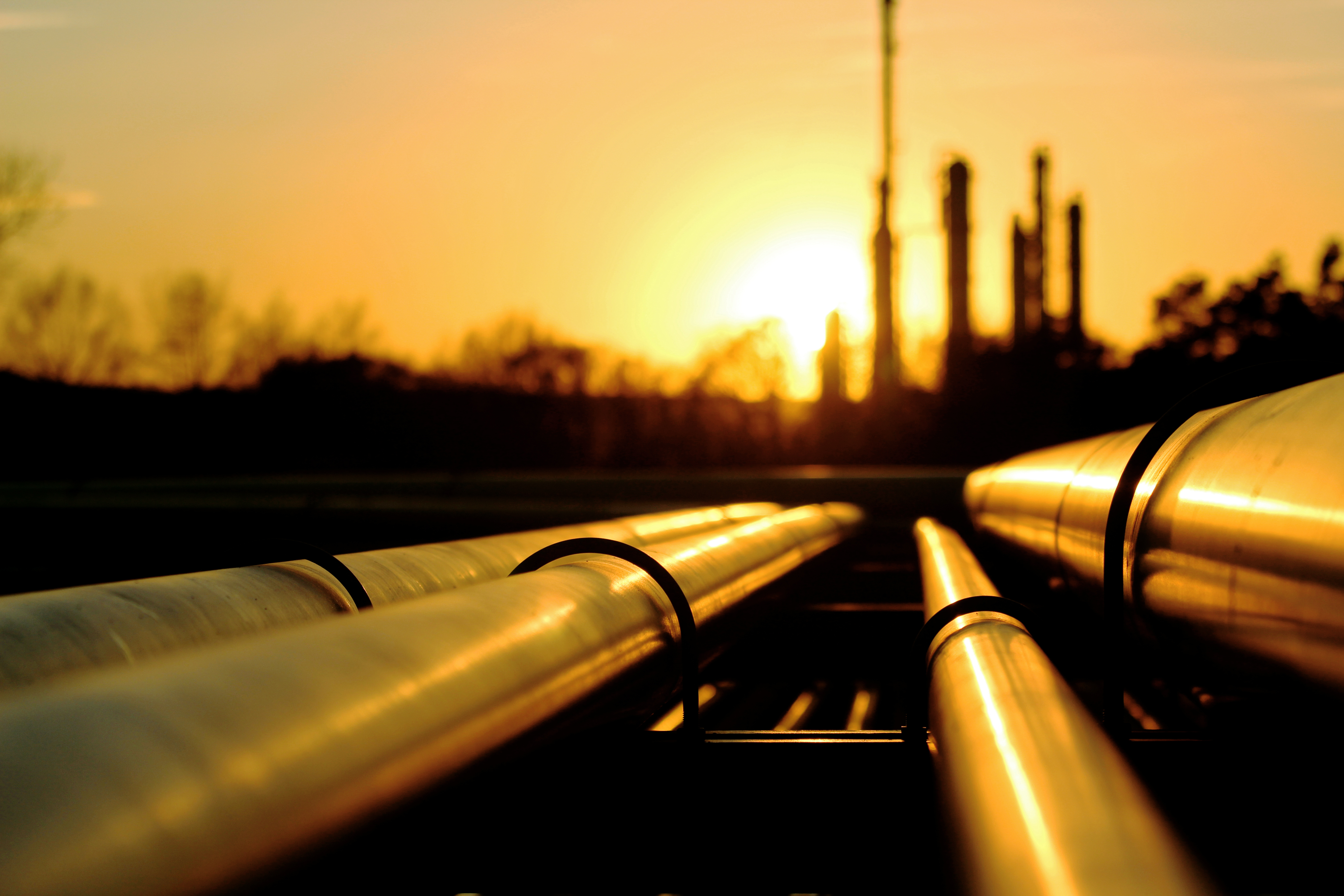 Decorative image New